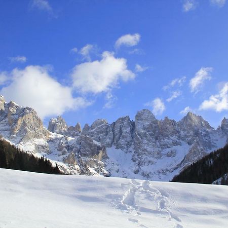 Casa Fiemme Panchia Apartman Kültér fotó