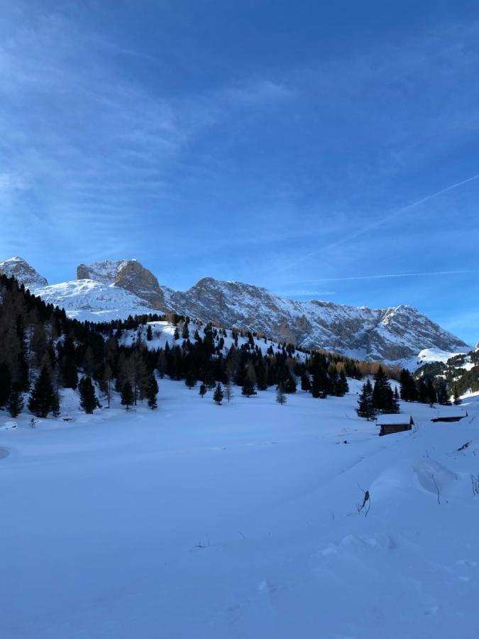 Casa Fiemme Panchia Apartman Kültér fotó