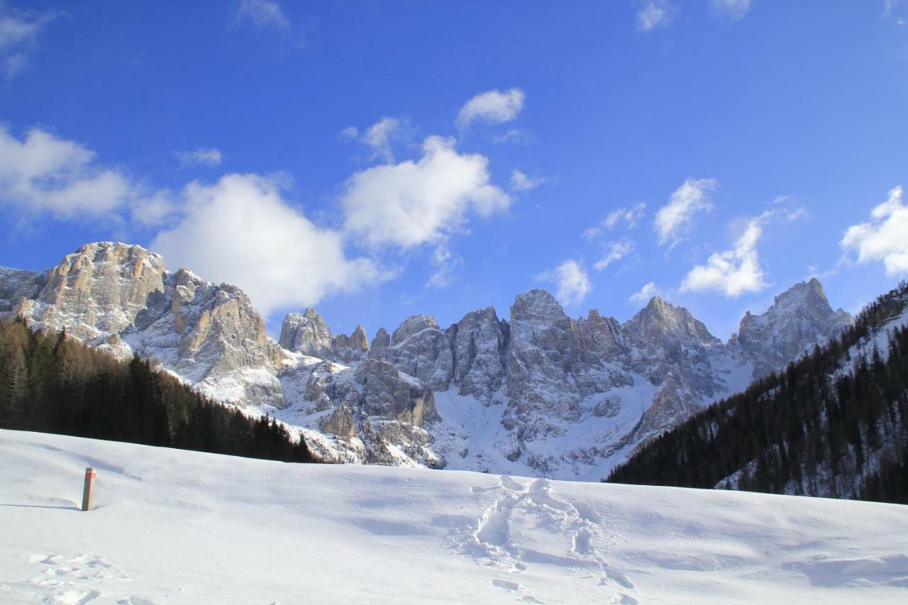 Casa Fiemme Panchia Apartman Kültér fotó